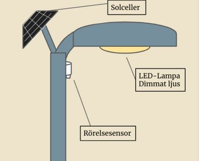 Montessorimondial Lund 9